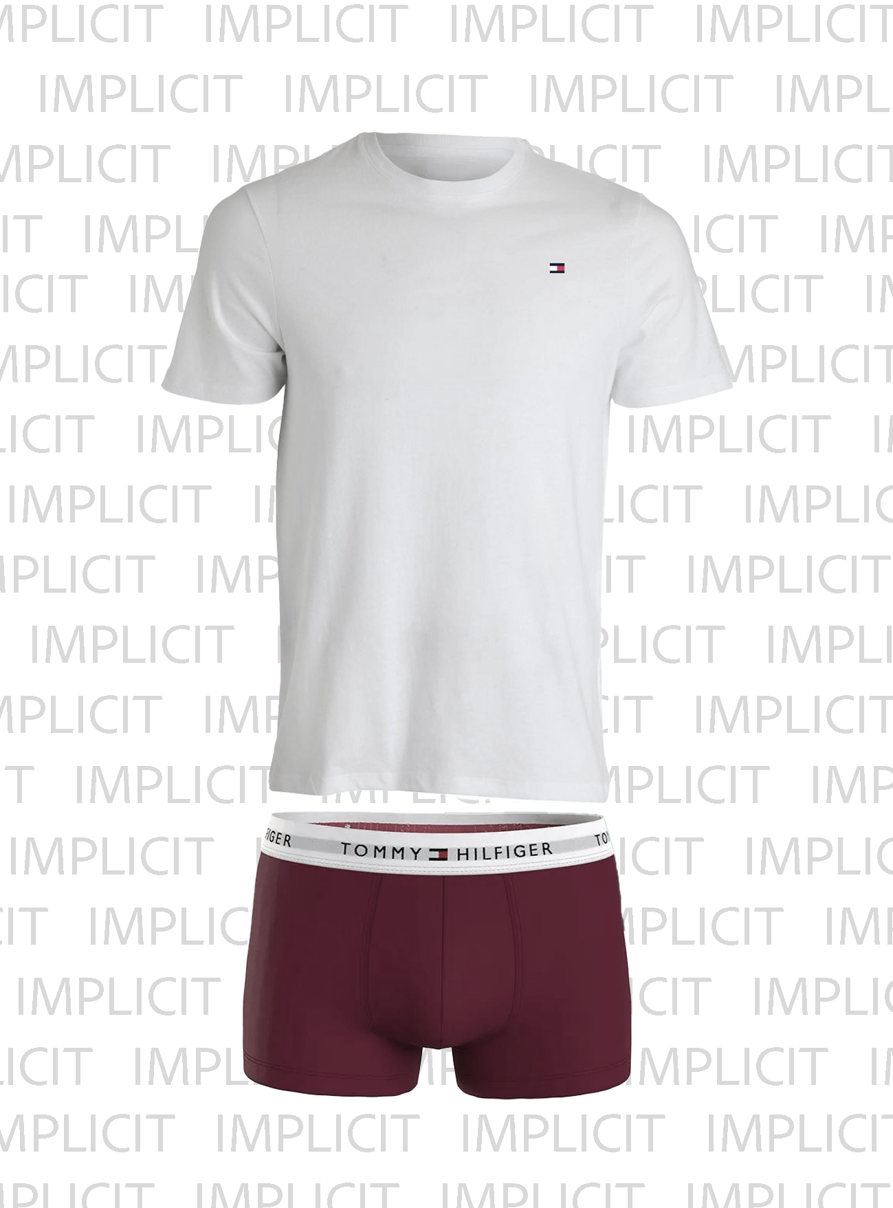 T-Shirt + Boxer con scatola Regalo di Natale Tommy Hilfiger