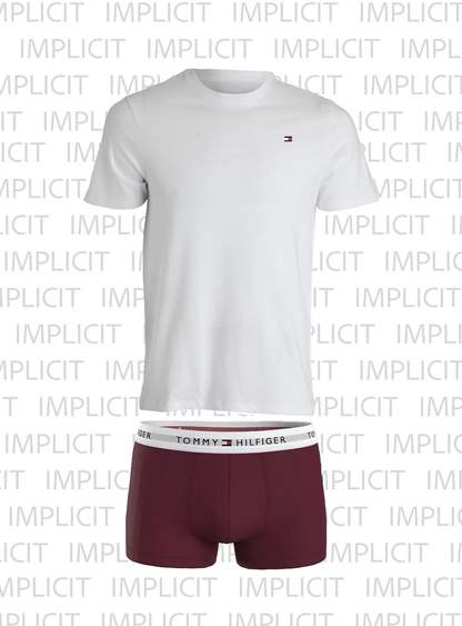 T-Shirt + Boxer con scatola Regalo di Natale Tommy Hilfiger