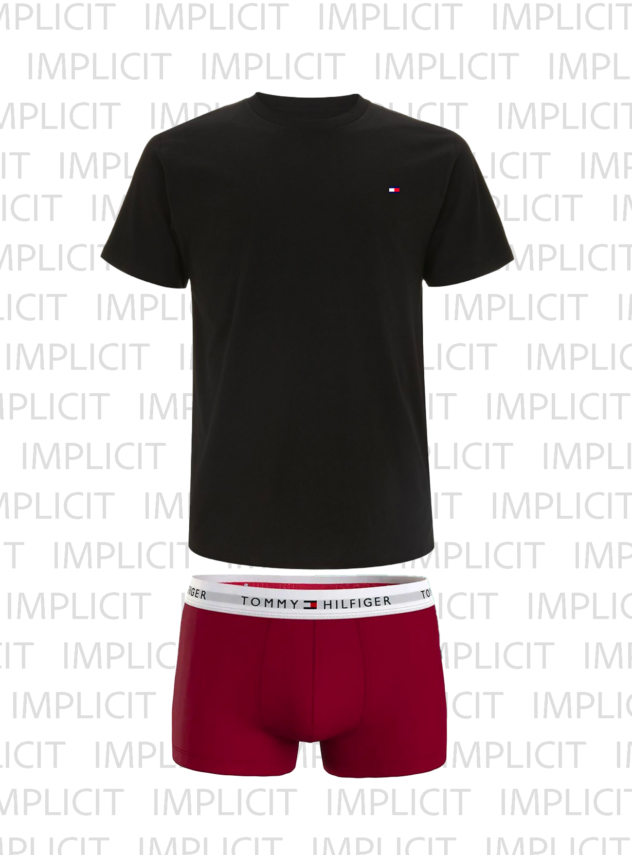 T-Shirt + Boxer con scatola Regalo di Natale Tommy Hilfiger