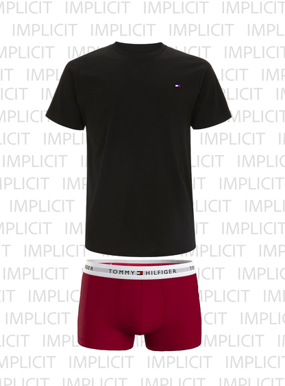 T-Shirt + Boxer con scatola Regalo di Natale Tommy Hilfiger