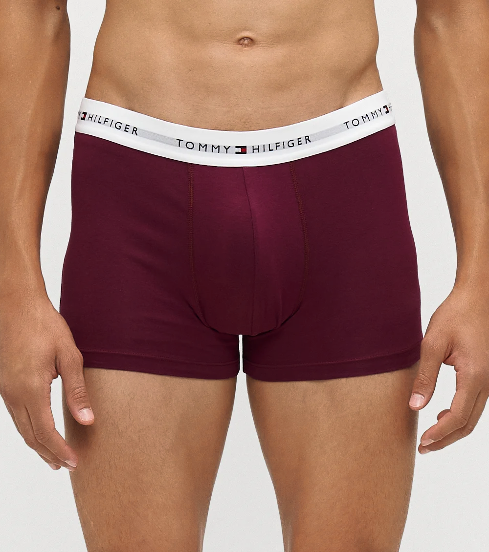 T-Shirt + Boxer con scatola Regalo di Natale Tommy Hilfiger